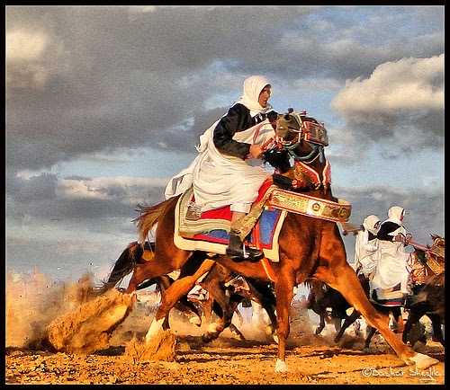 أبناء قبيلة العلاونة