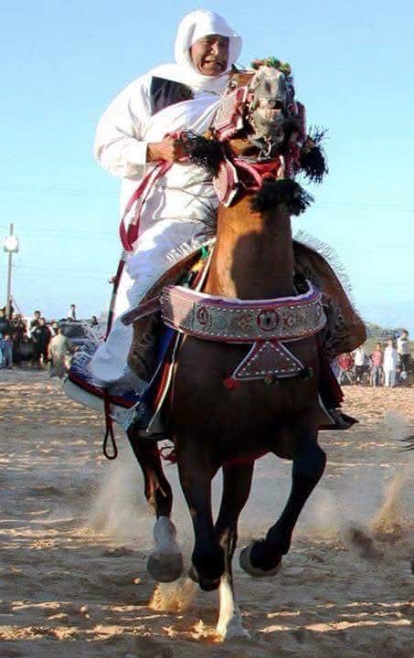 تجمعات وفعاليات قبيلة العلاونة